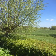 ChX5ZbLUoAAREOA.jpg-large